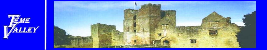 Ludlow Castle_2